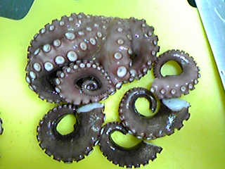 f0190328_21432213.jpg