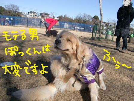 f0176830_20331991.jpg