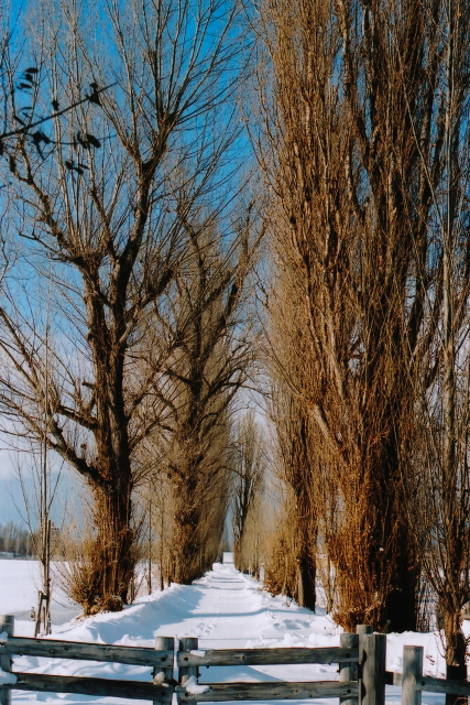 f0200436_15565470.jpg