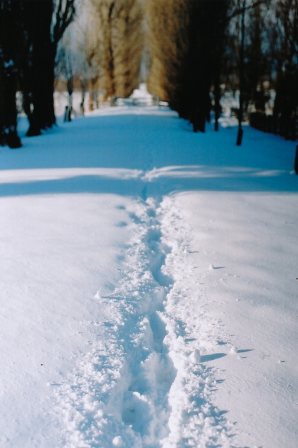f0200436_1557495.jpg