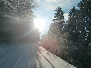 c0183137_11464729.jpg