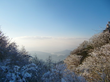 c0183137_11545969.jpg
