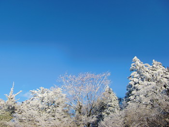 c0183137_11552126.jpg