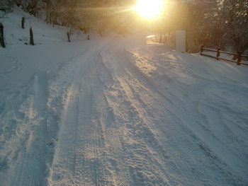 c0183137_120214.jpg