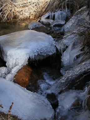 a0143839_231932100.jpg