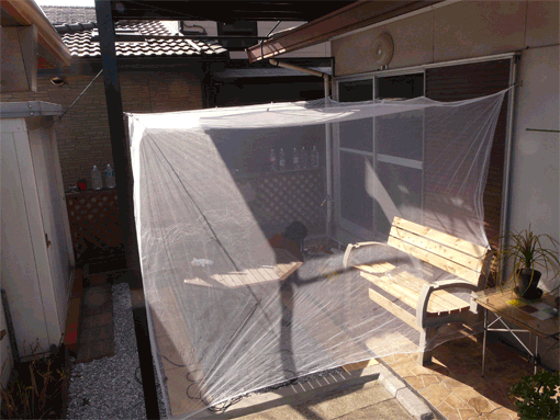 a0056140_17224459.gif