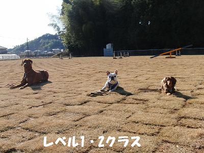 f0186040_2029649.jpg