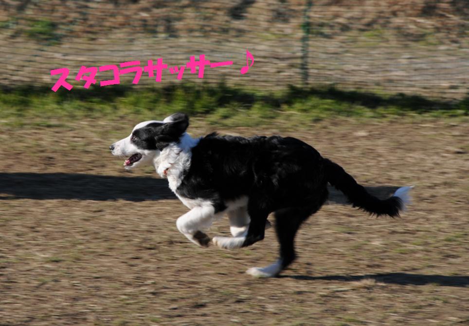 c0147241_23234429.jpg