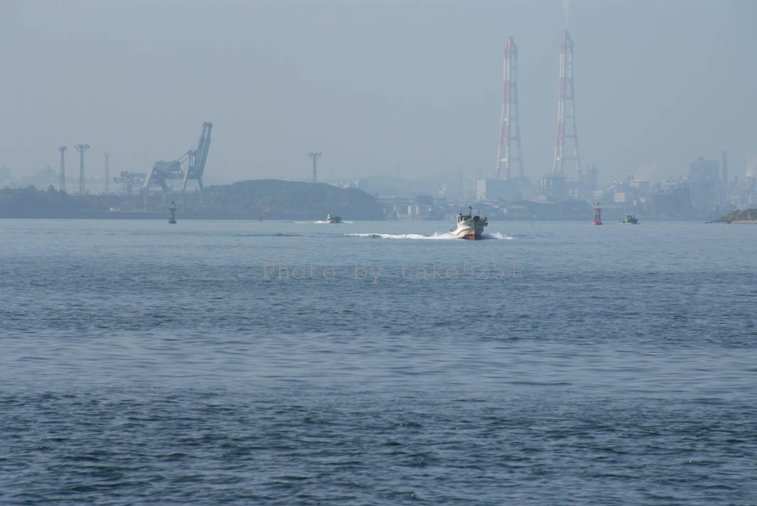 a0116946_832309.jpg