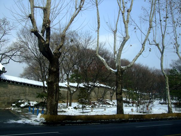 d0023346_21245027.jpg