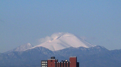a0001354_2146239.jpg