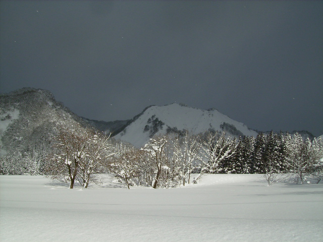 c0188860_1151271.jpg