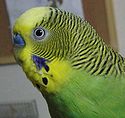 f0196665_0421861.jpg