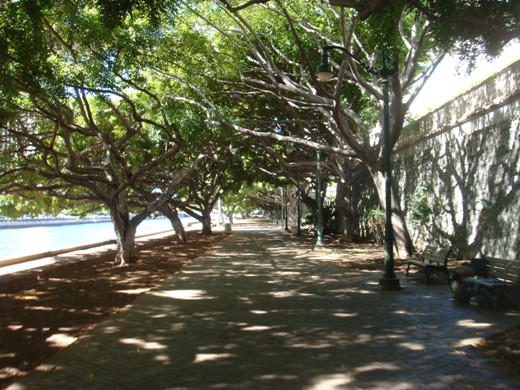 b0186666_16493464.jpg