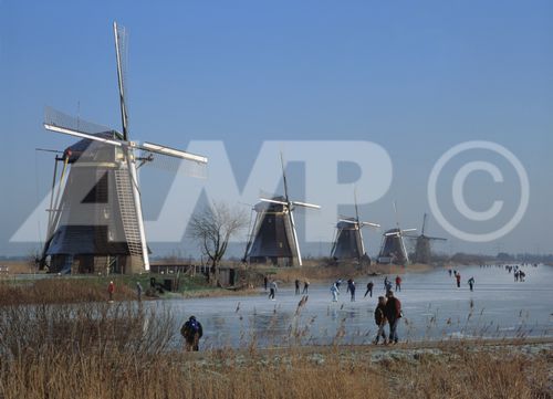 f0177666_3542674.jpg