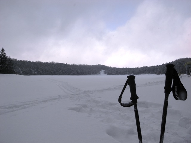 e0129083_19503147.jpg
