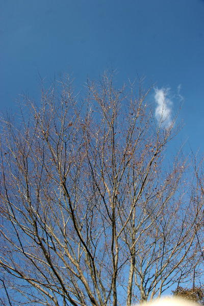 b0171185_22404676.jpg
