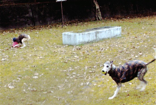 f0177788_0302618.jpg