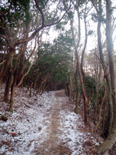 c0018489_22591252.jpg