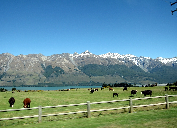 d0103292_19313372.jpg