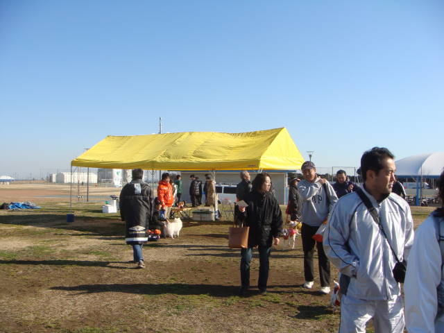 d0098295_22393886.jpg