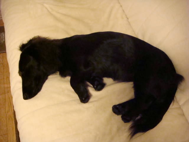 d0098295_2316656.jpg
