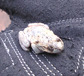 b0174996_20485784.gif