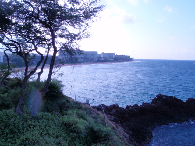 b0048298_556484.jpg
