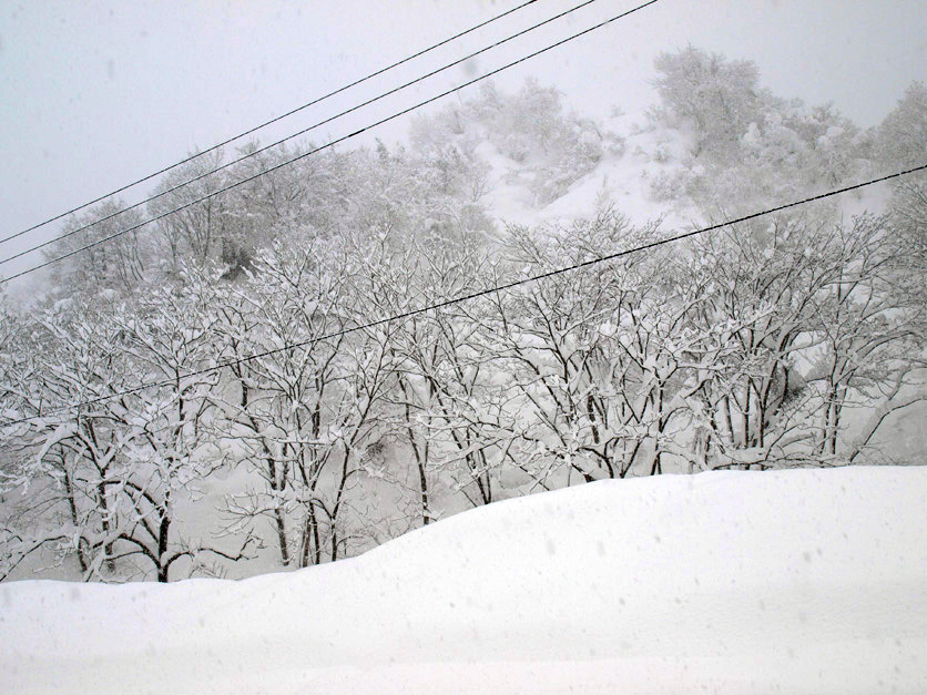 f0108399_102883.jpg