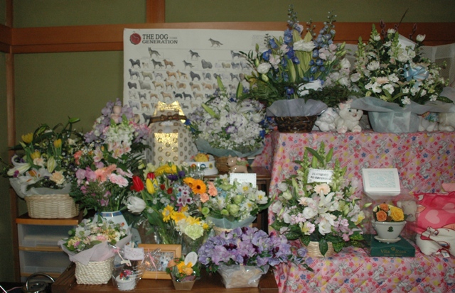 e0018604_20113100.jpg