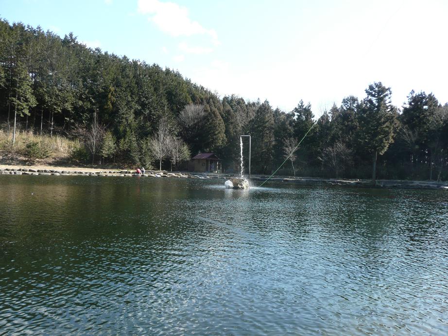 d0126708_1744925.jpg