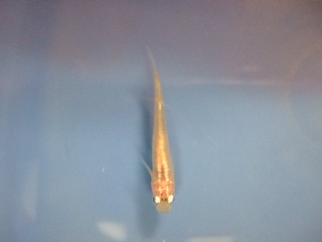 f0152308_1930380.jpg