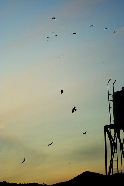 f0129510_11403651.jpg