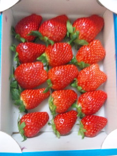 c0201113_10484853.jpg
