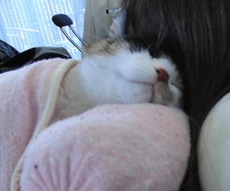 c0201113_1133832.jpg