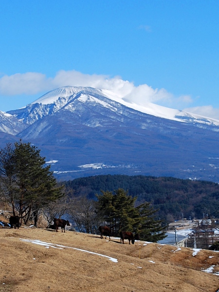 c0177814_1624452.jpg