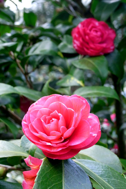 e0083517_241199.jpg