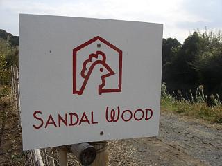 c0117621_23143165.jpg