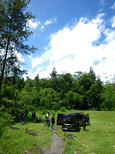 d0023725_12233537.jpg