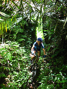 d0023725_1224156.jpg