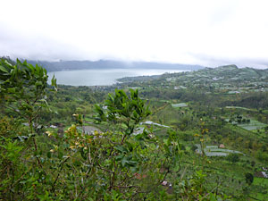 d0023725_1245897.jpg