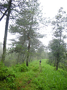 d0023725_1252964.jpg