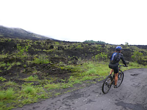 d0023725_126633.jpg