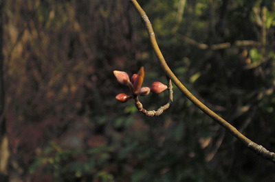 f0009128_2058573.jpg