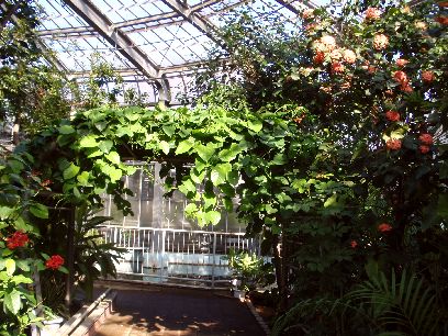 d0093936_17105724.jpg