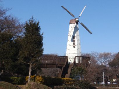 d0093936_2031341.jpg