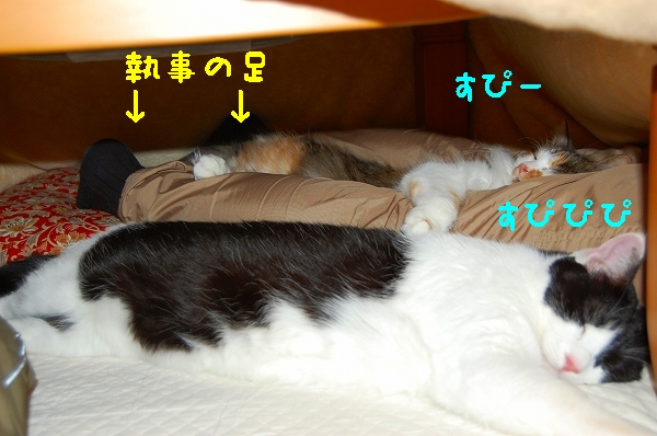 c0181639_0481717.jpg