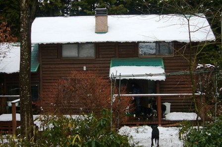 d0053940_14411011.jpg