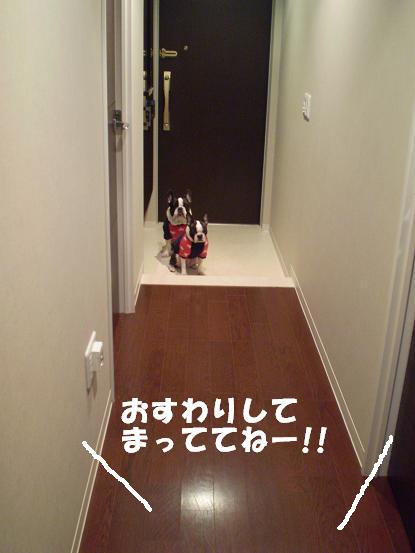 e0146340_16203215.jpg