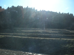 e0149340_1191811.jpg